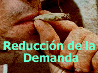 Boton Red-demanda