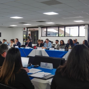 Reunión de Expertos CICADOEA (1)